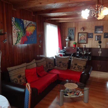 App Tony Beroun Apartment Exterior photo
